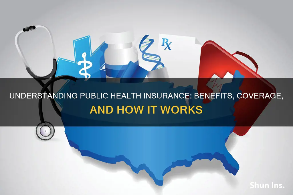 what is a public health insurance option