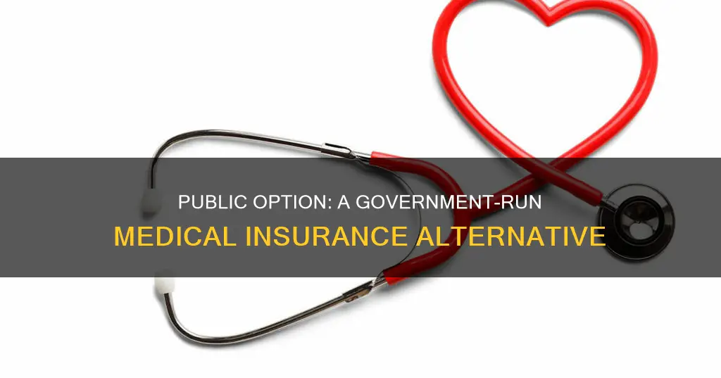 what is a public option for medical insurance