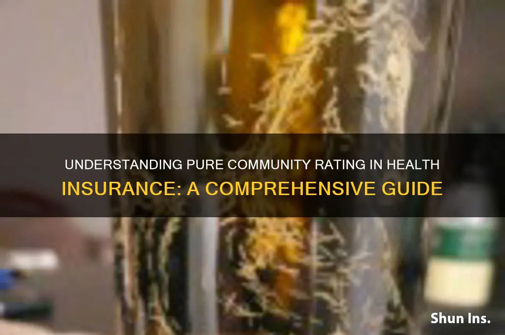 what is a pure community rating in health insurance