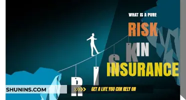 Understanding Pure Risk: Insuring Against Potential Losses
