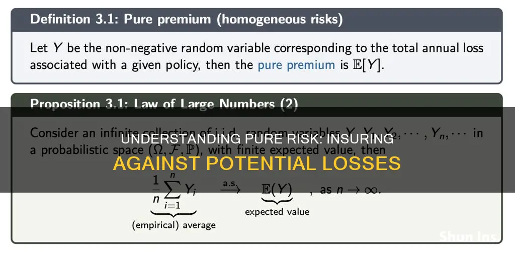 what is a pure risk in insurance