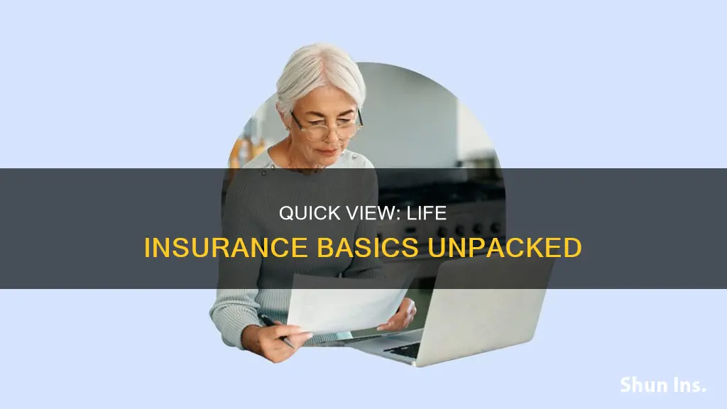 what is a quick view in life insurance