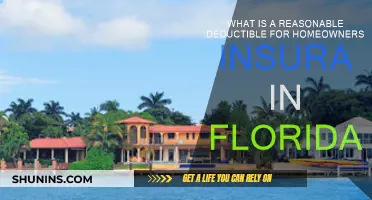 Florida Homeowners: How Much Deductible is Sensible?