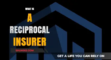 Understanding Reciprocal Insurers: Structure, Benefits, and How They Operate