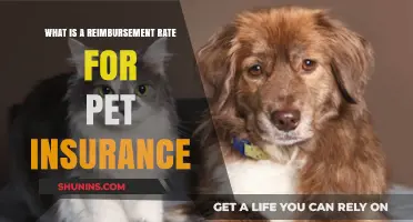 Understanding Pet Insurance Reimbursement Rates: How Much Can You Claim?