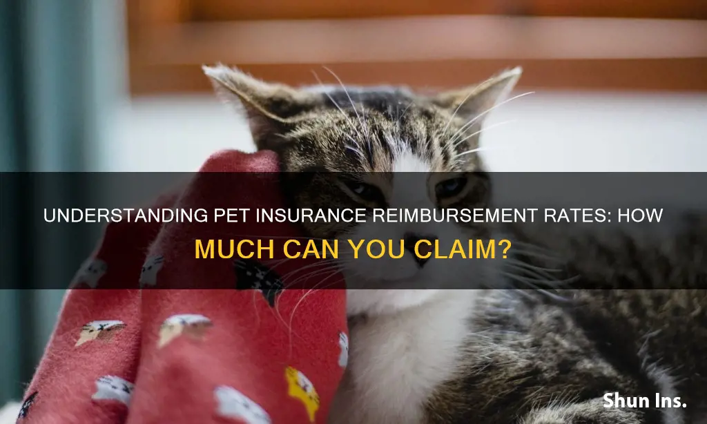 what is a reimbursement rate for pet insurance