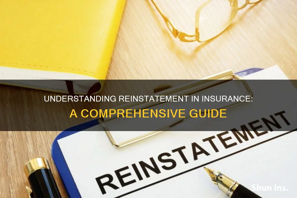 what is a reinstatement in insurance terms