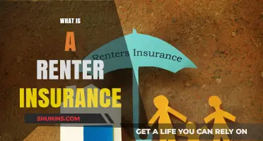 Understanding Renter's Insurance: Protecting Your Belongings and Liability