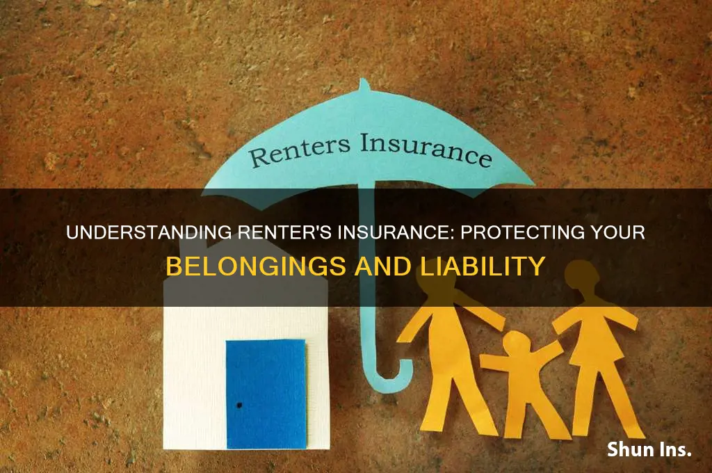 what is a renter insurance