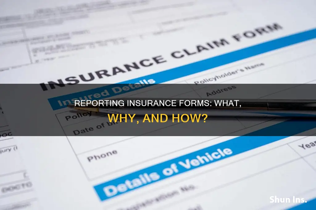 what is a reporting insurance form