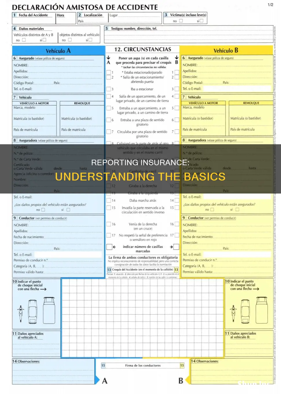 what is a reporting insurance