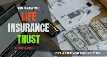 Understanding Revocable Life Insurance Trusts and Their Benefits