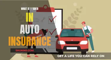 Rider in Auto Insurance: What's the Deal?