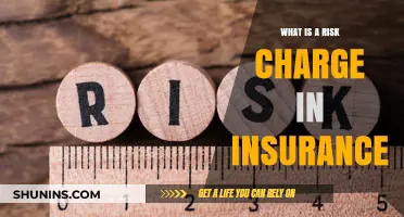 Understanding Insurance: Risk Charges Explained