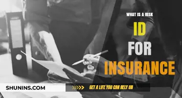 Understanding Risk IDs: Insurance's Unique Identifier