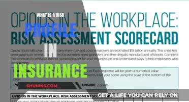 Understanding Insurance: Risk Profiles Explained