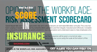 Understanding Insurance Risk Scores: What You Need to Know