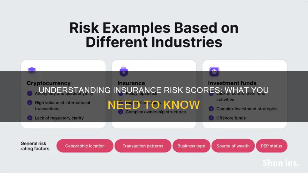 what is a risk score in insurance