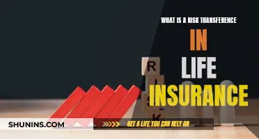 Risk Transference: How Life Insurance Shifts Financial Burdens