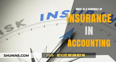 Understanding Insurance Schedules in Accounting