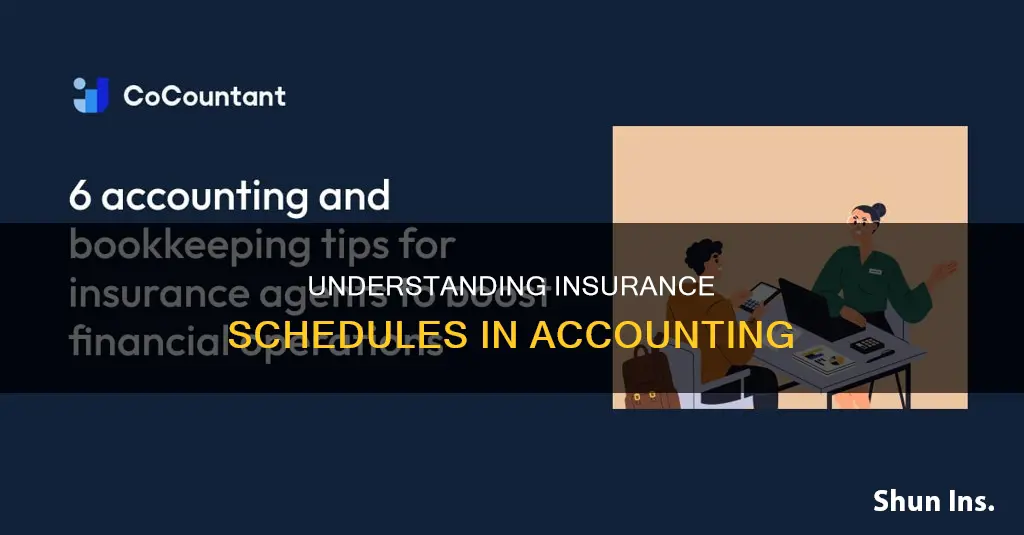 what is a schedule of insurance in accounting