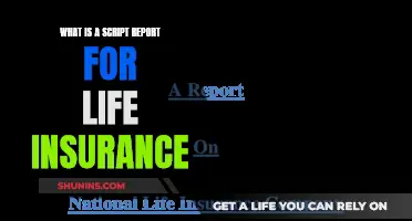 Script Reports: Life Insurance Simplified