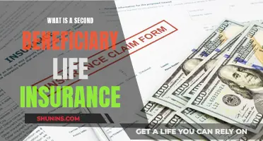 Beneficiary Life Insurance: Understanding the Second Nominee