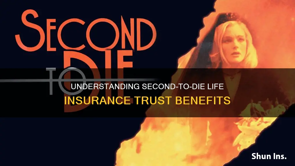 what is a second to die life insurance trust