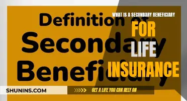 Who Can Be a Secondary Life Insurance Beneficiary?