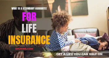 Life Insurance: Understanding Secondary Guarantees and Their Benefits