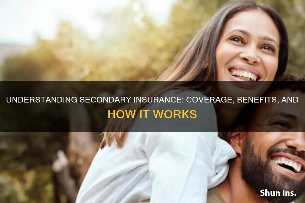 what is a secondary insurance