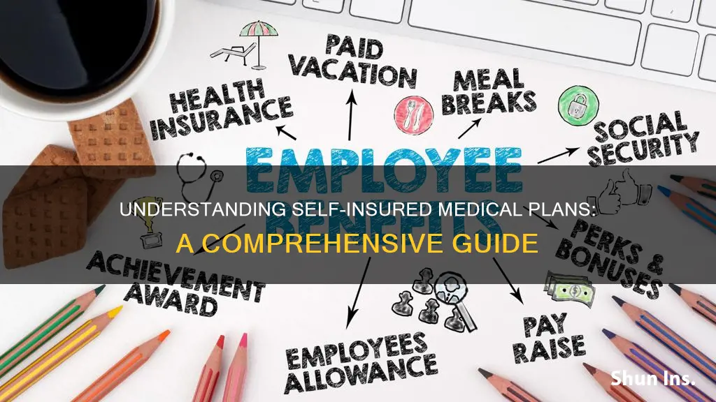 what is a self insured medical plan