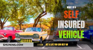 Self-Insured Vehicles: Who Pays?