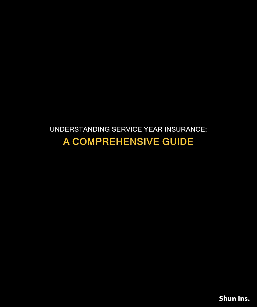 what is a service year insurance