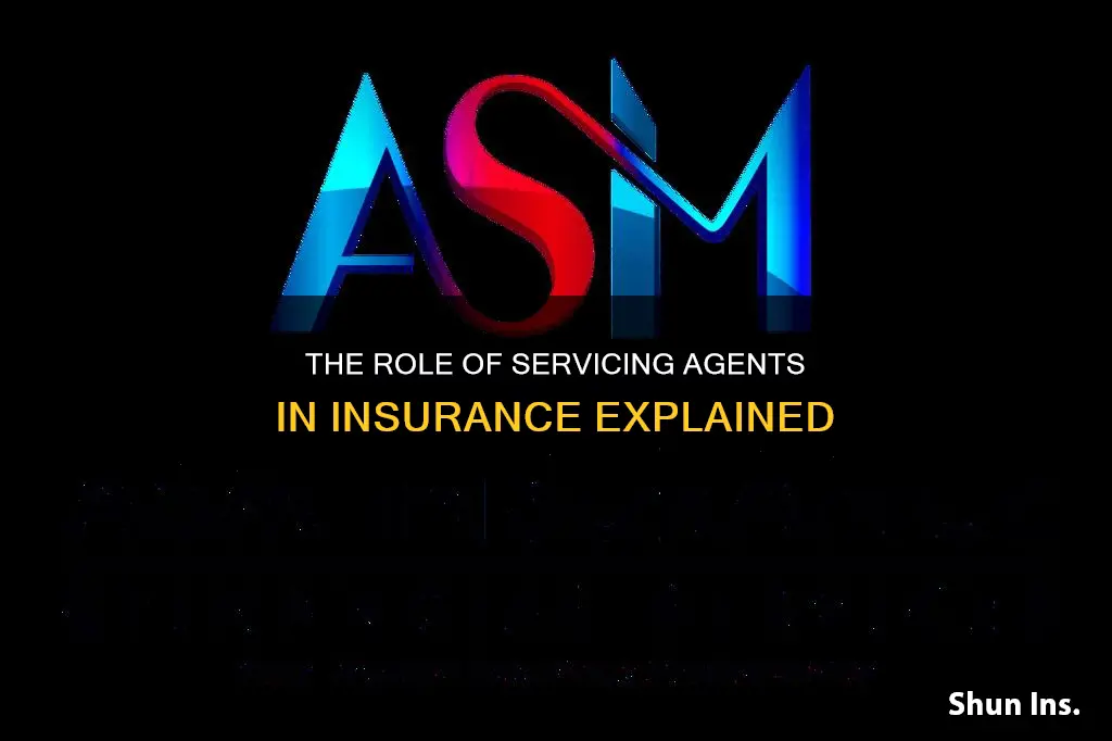 what is a servicing agent in insurance