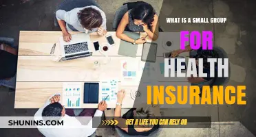 Understanding Small Group Health Insurance: Benefits, Eligibility, and Coverage Options