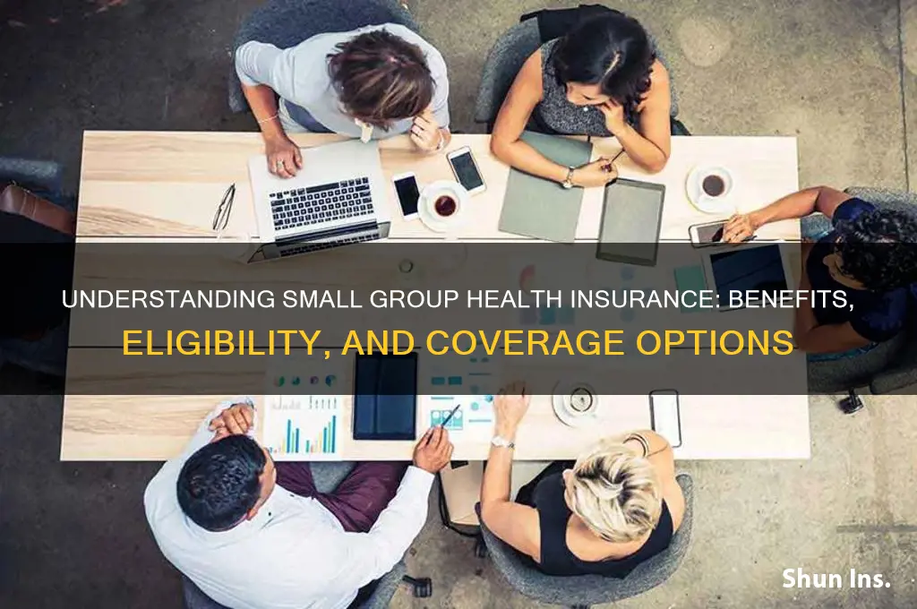 what is a small group for health insurance