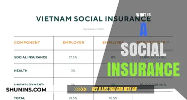 Understanding Social Insurance: Benefits, Coverage, and Importance Explained