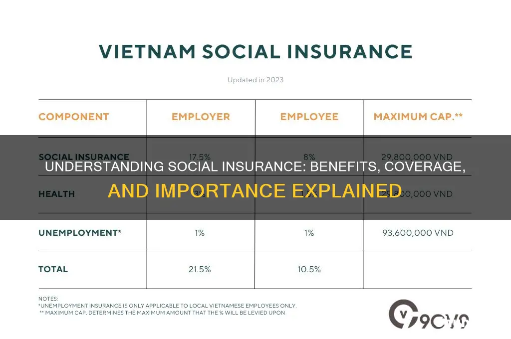 what is a social insurance