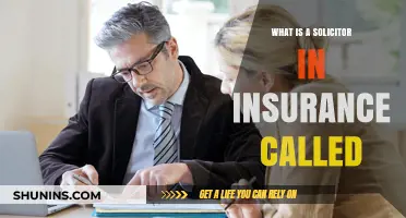 Who Are Insurance Solicitors and What Do They Do?