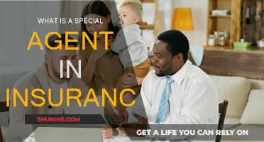 Special Agent: Insurance's Unique Role