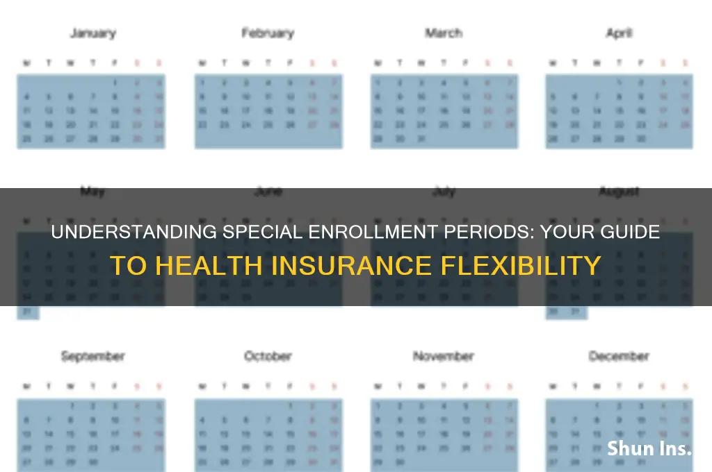 what is a special enrollment period for health insurance