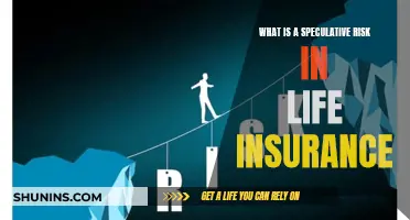 Speculative Risk: Life Insurance's Uncertain Gamble