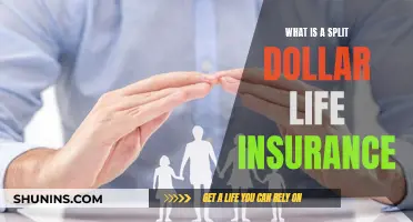 Understanding Split-Dollar Life Insurance: How It Works