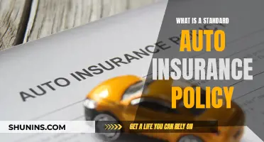 Auto Insurance Basics: Understanding Standard Policies