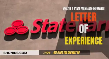 State Farm Auto Insurance: Letter of Experience Explained