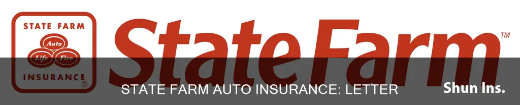 what is a state farm auto insurance letter of experience