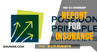 Stewardship Reports: Insurance's Financial Health Check
