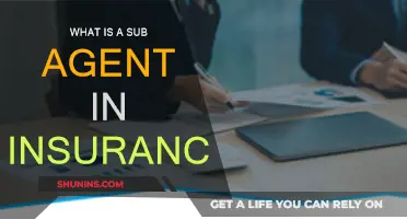 Understanding Insurance Sub-Agents: Who and What?