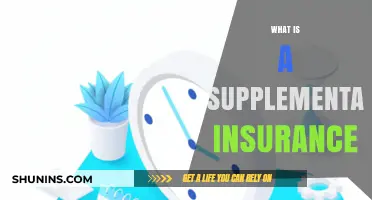 Understanding Supplemental Insurance: Benefits, Coverage, and Why You Need It
